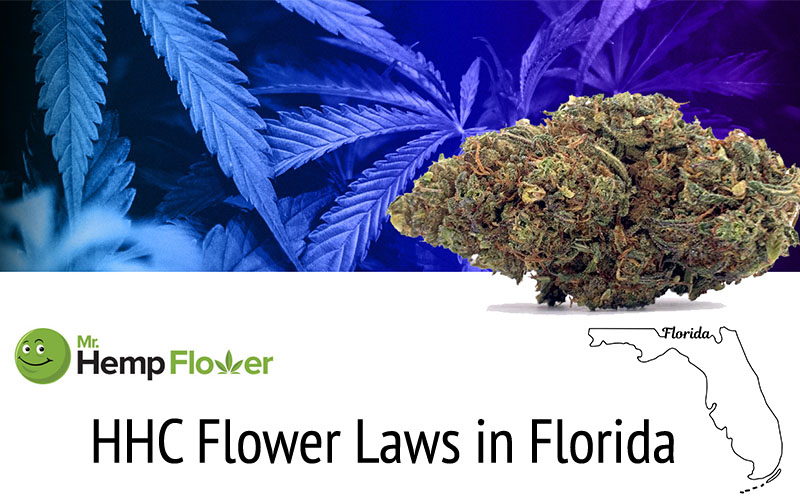 HHC Flower in Florida