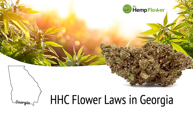 HHC Flower in Georgia