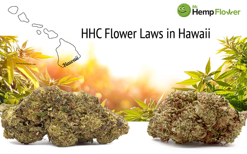 HHC Flower in Hawaii