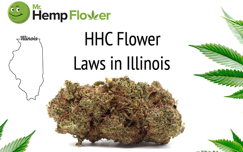 HHC Flower in Illinois
