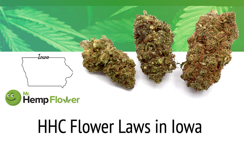 HHC Flower in Iowa