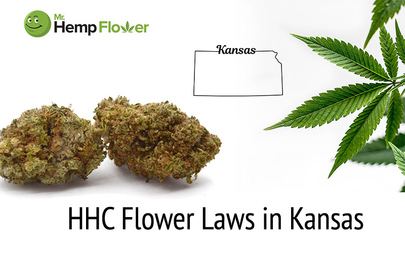 HHC Flower in Kansas