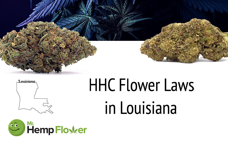 HHC Flower in Louisiana