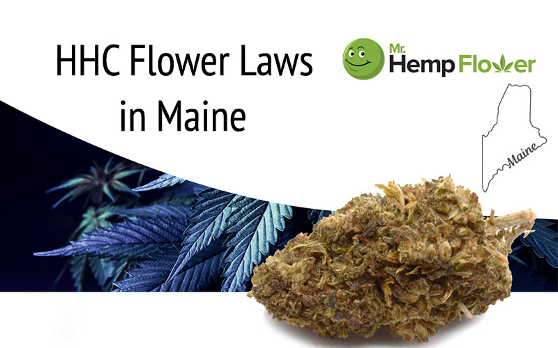 HHC Flower in Maine