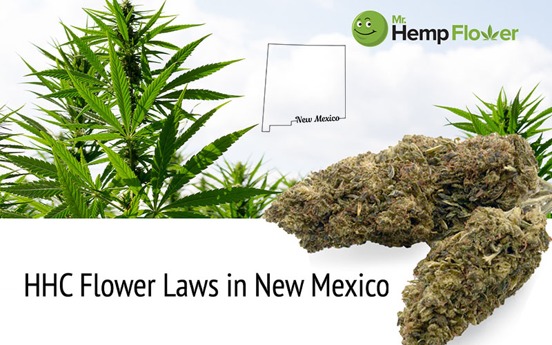 HHC Flower New Mexico