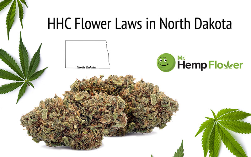 HHC Flower North Dakota