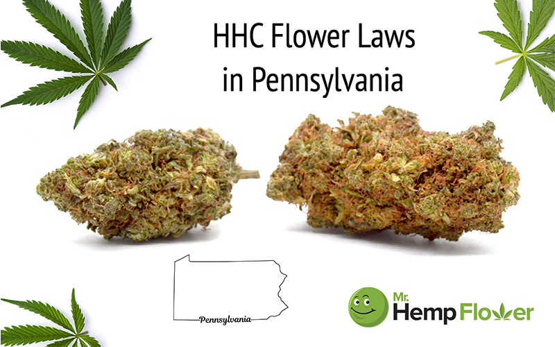 HHC Flower Pennsylvania