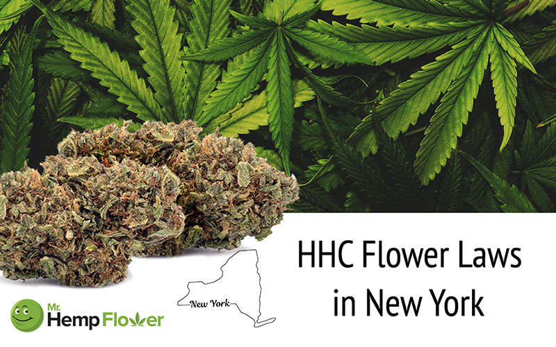 HHC Flower in New York