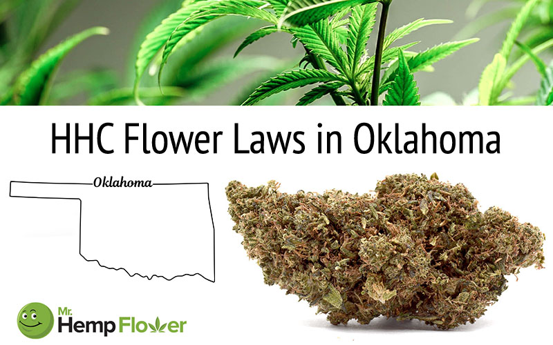HHC Flower in Oklahoma
