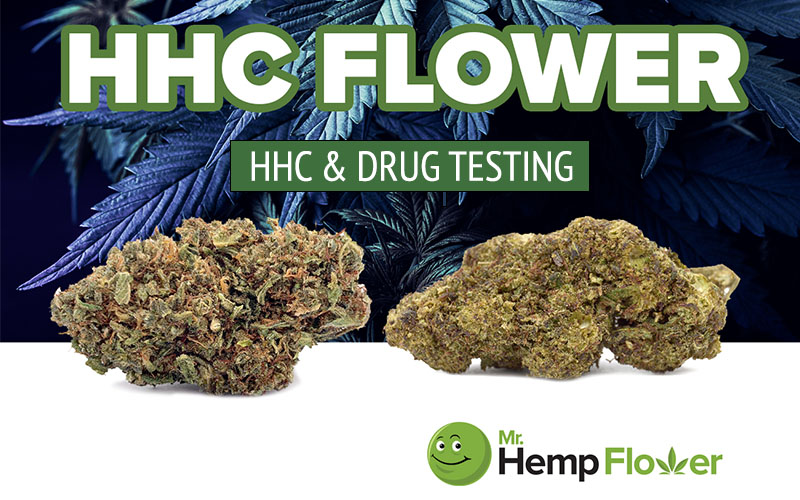 HHC & Drug Testing