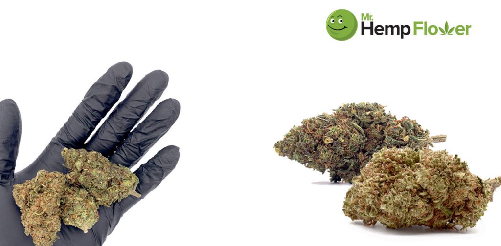 HHC Flower & Drug Testing
