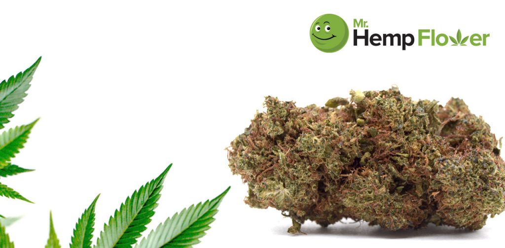 HHC Flower South Carolina Laws