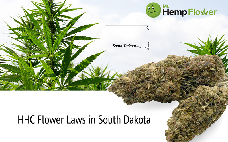 HHC Flower South Dakota