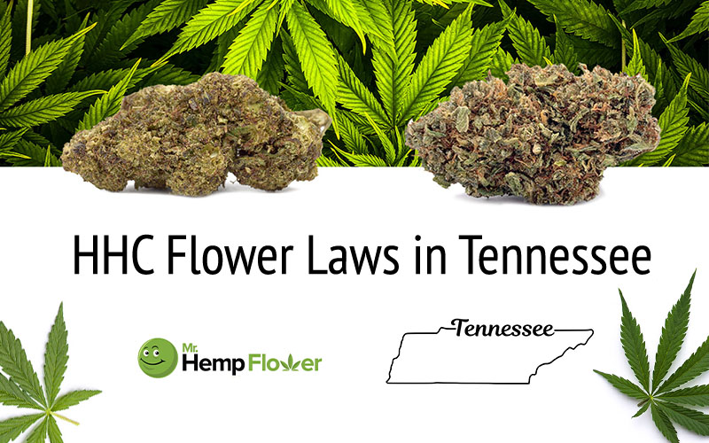HHC Flower Tennessee