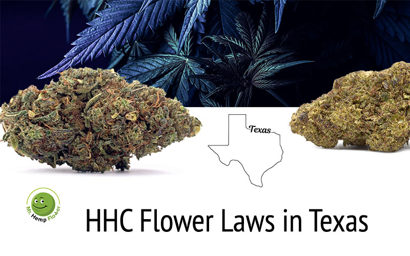 HHC Flower in Texas