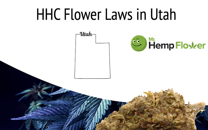 HHC Flower in Utah