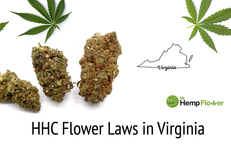 HHC Flower in Virginia