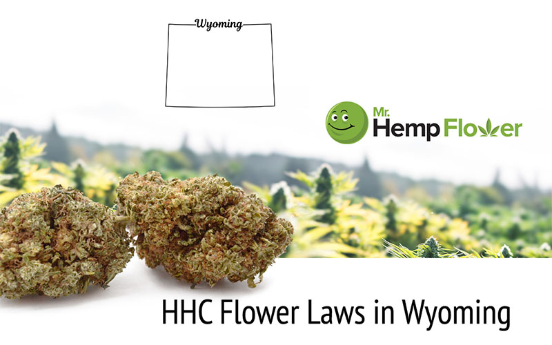 HHC Flower in Wyoming