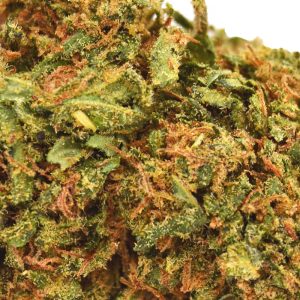Crunch-Berry-CBD up close