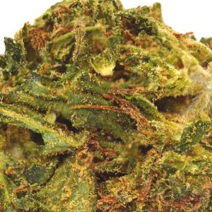 D8-Crunch-Berry Up Close