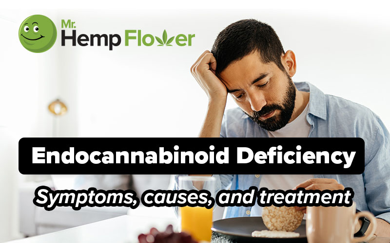 Endocannabinoid deficiency_Feature