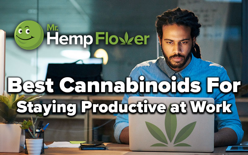 Best Cannabinoids