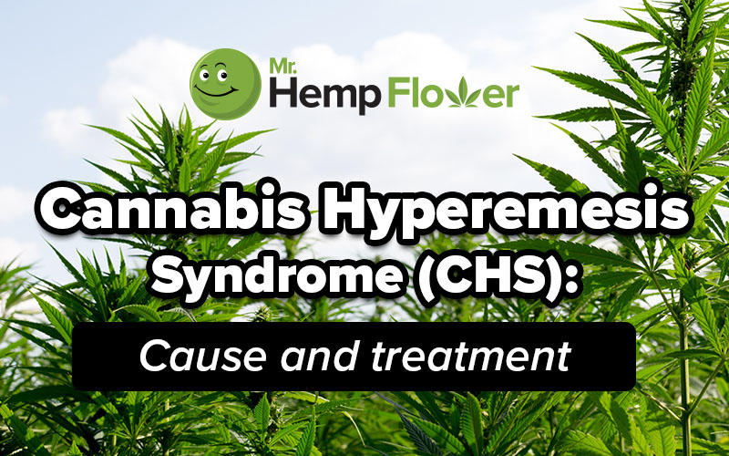 Cannabis Hyperemesis Syndrome