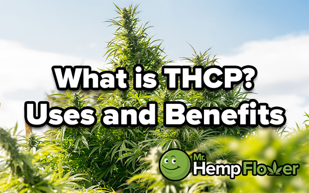 THCPAn Overview The Most Potent THC Analog So Fa