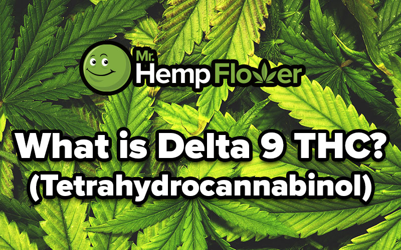 What is Delta 9 THC