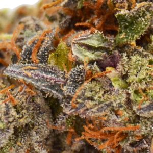 THCa Jet Fuel Flower Up Close