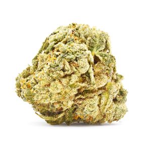 ICC strain