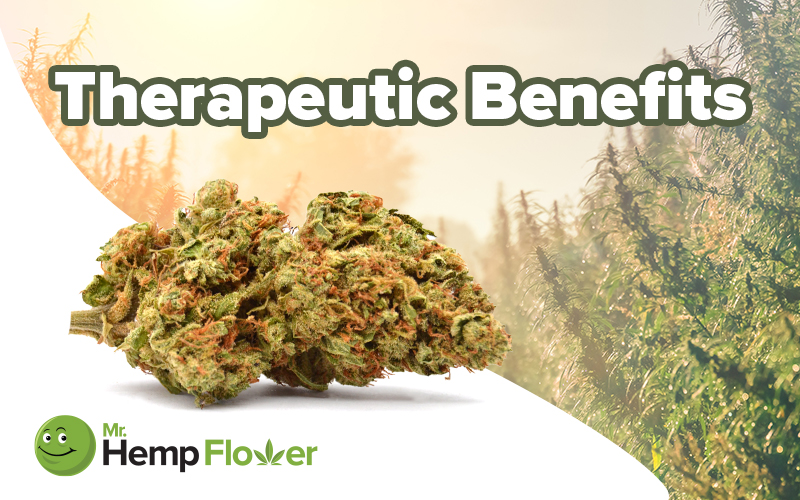 THCa Benefits