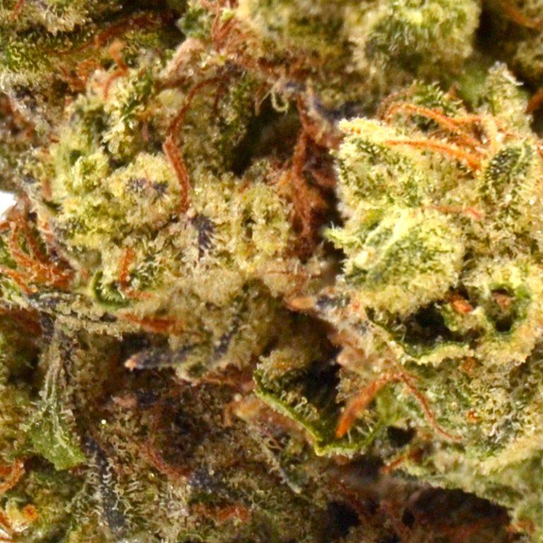 Truffles THCa Flower Strong Indica THCa Strain Available Here!