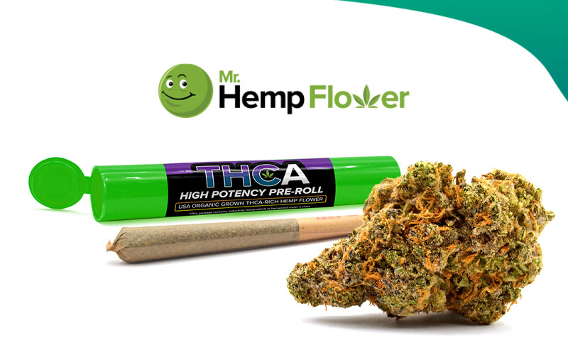 Choose The Right THCa Product