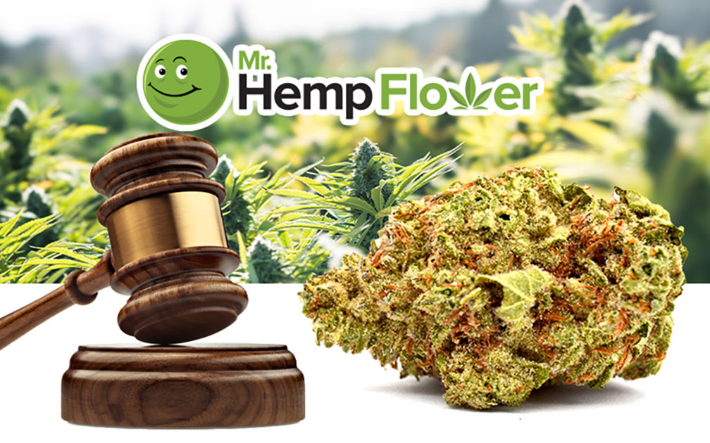 THCa Drug Test: Will You Fail?