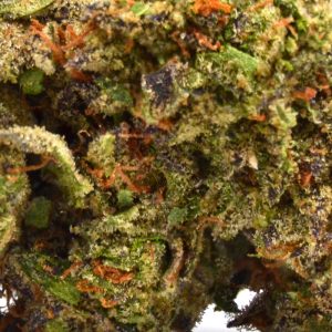 Lemon-Cherry Gelato Up Close