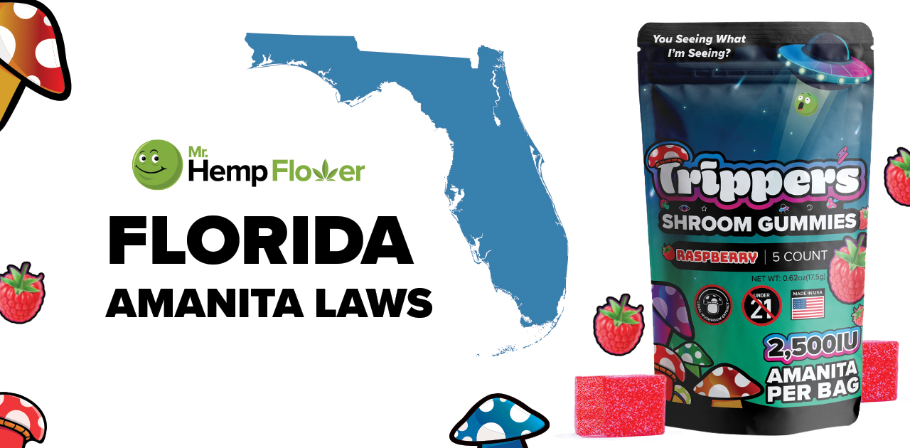 amanita-muscaria-gummies-in-florida-legality-where-to-buy