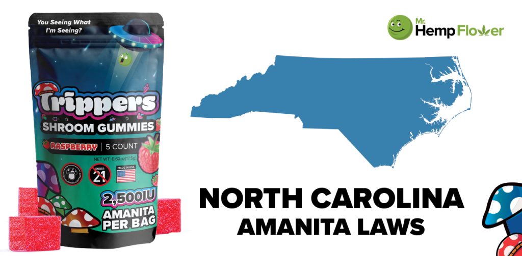Is Amanita Mushroom legal in North Carolina
