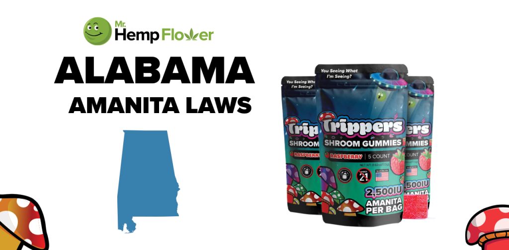 Is Amanita Mushroom Legal in Alabama