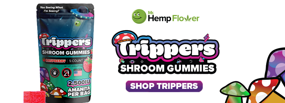 Buy Amanita Mushroom Gummies Alabama
