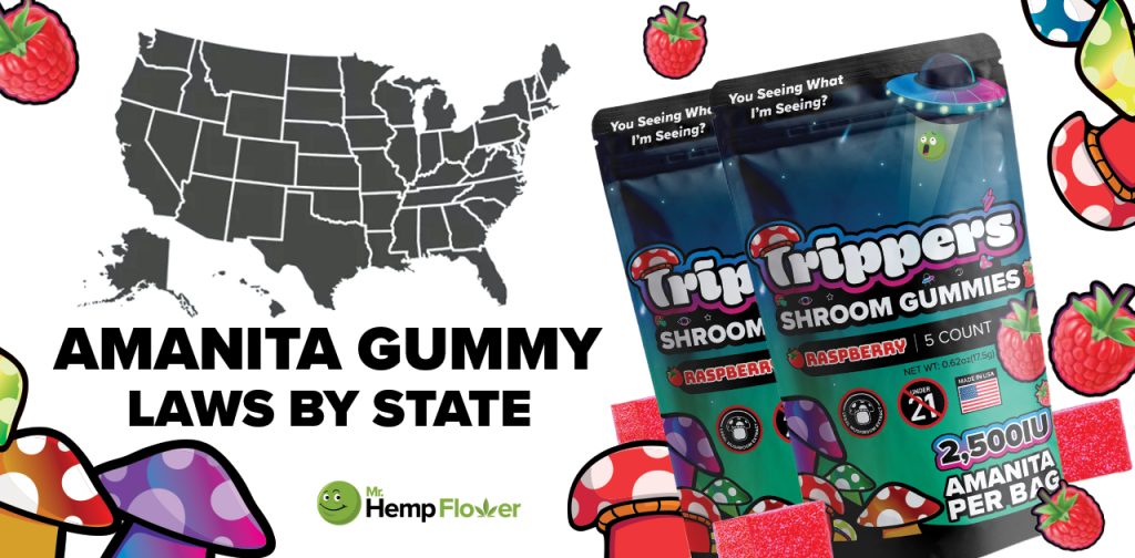 Is Amanita Mushroom Gummies Legal in the USA