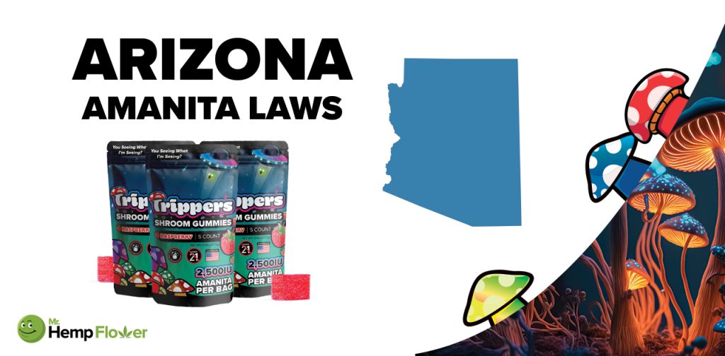 Is Amanita Mushroom Legal in Arizona