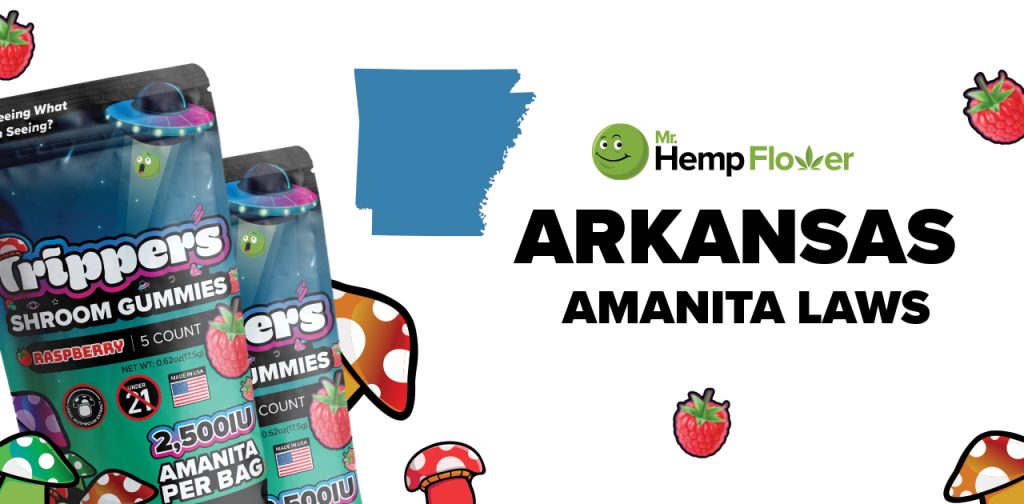 Is Amanita Mushroom Legal in Arkansas