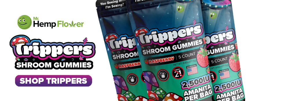 Buy Amanita Mushroom Gummies California