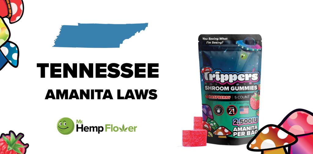 Is Amanita Mushroom Legal in Tennessee