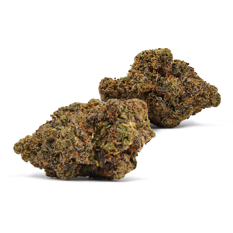 biscotti buds