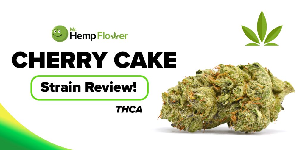 Cherry Cake THCA Hemp Flower Review