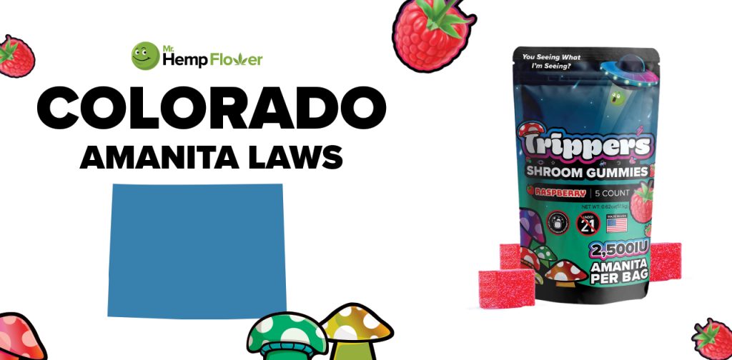 Is Amanita Mushroom Legal in Colorado