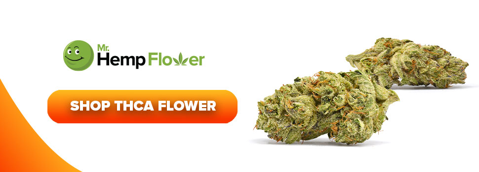 Buy THCA Flower in Connecticut