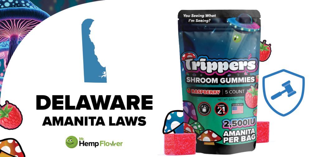 Is Amanita Mushroom Legal in Delaware